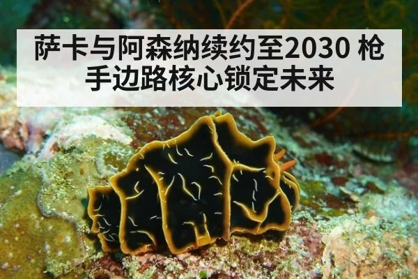 萨卡与阿森纳续约至2030 枪手边路核心锁定未来